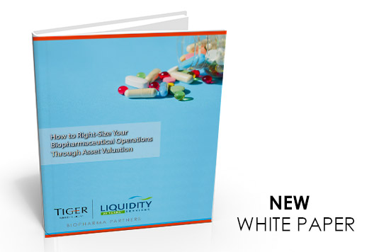 Download Whitepaper; How to Right-Size Your Biopharmaceutical Operations Through Asset Valuation