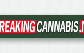 Breaking Cannabis News